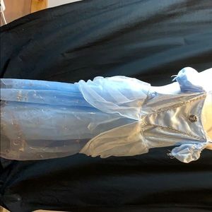 cinderella costume